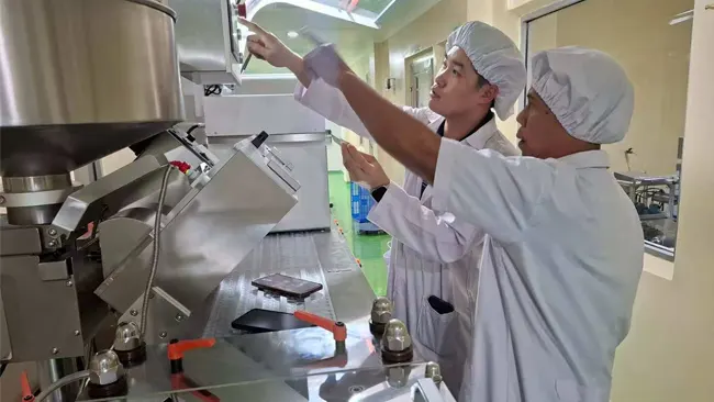 blister packaging machine qualification checks during IQ OQ PQ