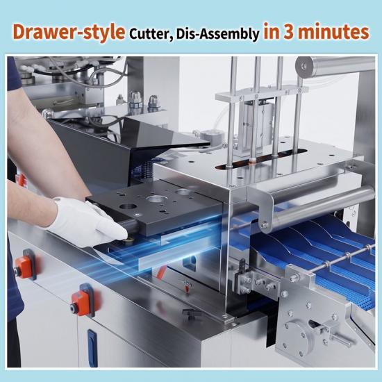 DPP 370 blister packing machine